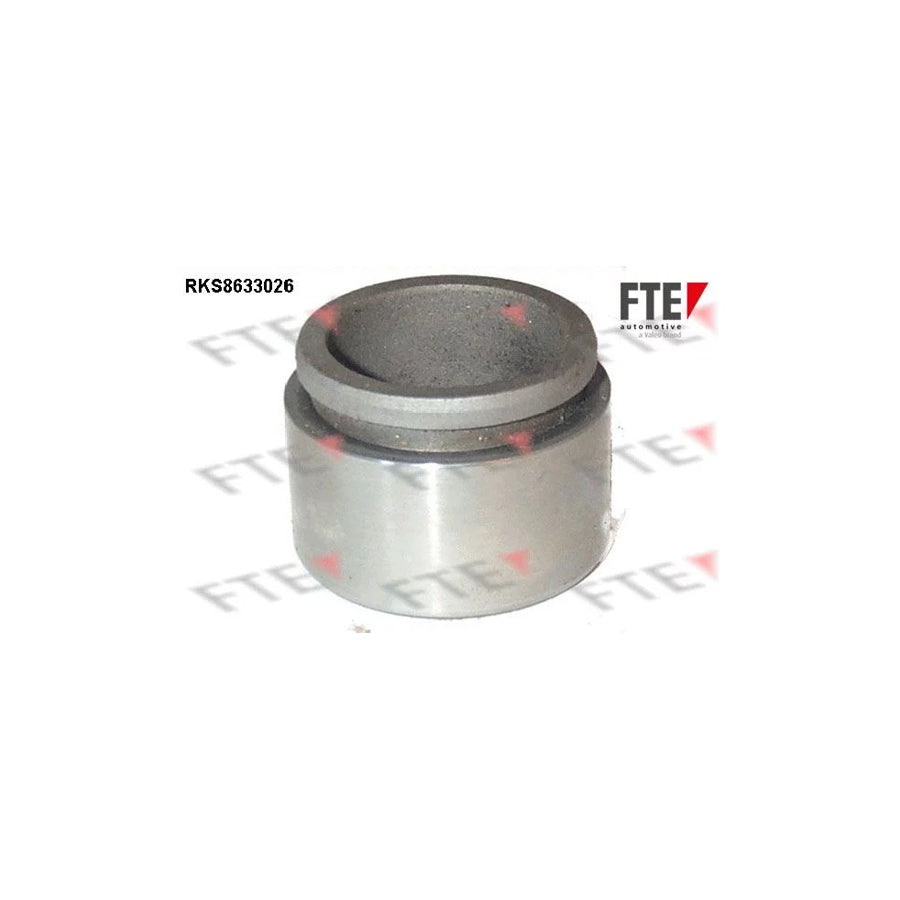 Fte 9313279 Piston, Brake Caliper | ML Performance UK Car Parts