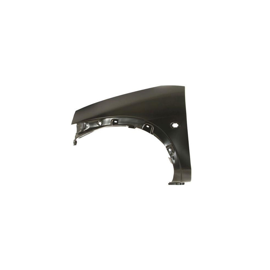 Blic 6504-04-2505311P Wing Fender