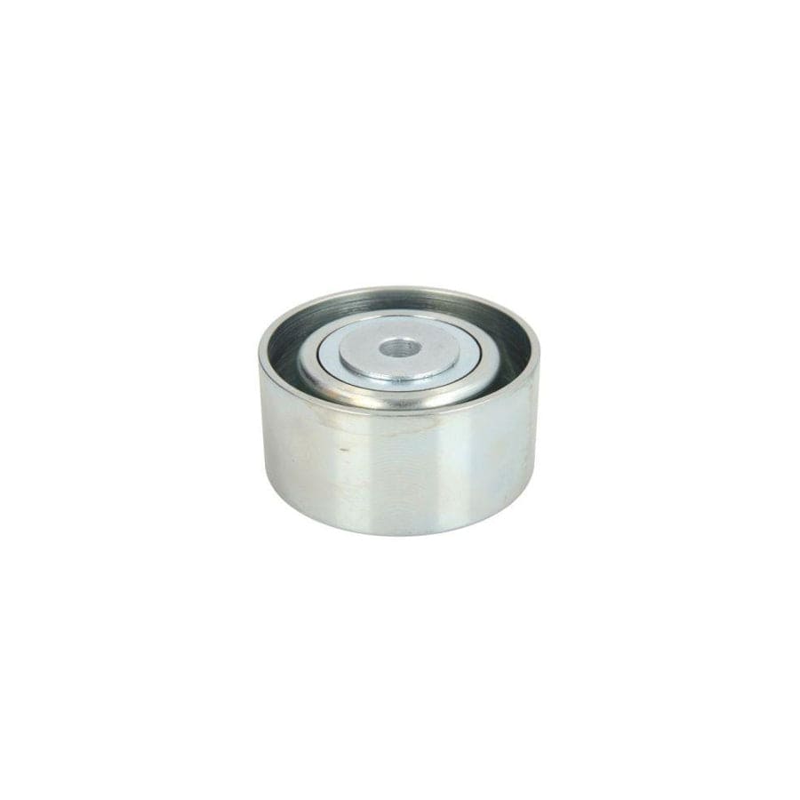 Bta B05-02-050 Tensioner Pulley