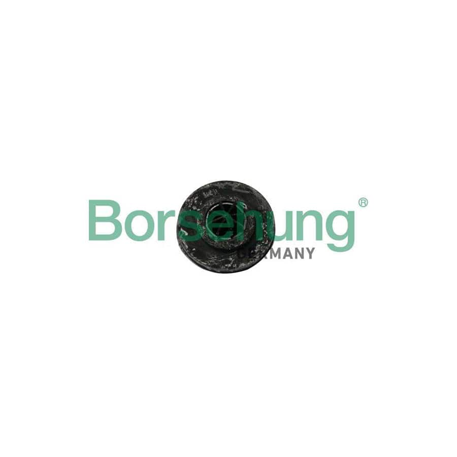 Borsehung B19065 Spring Cap