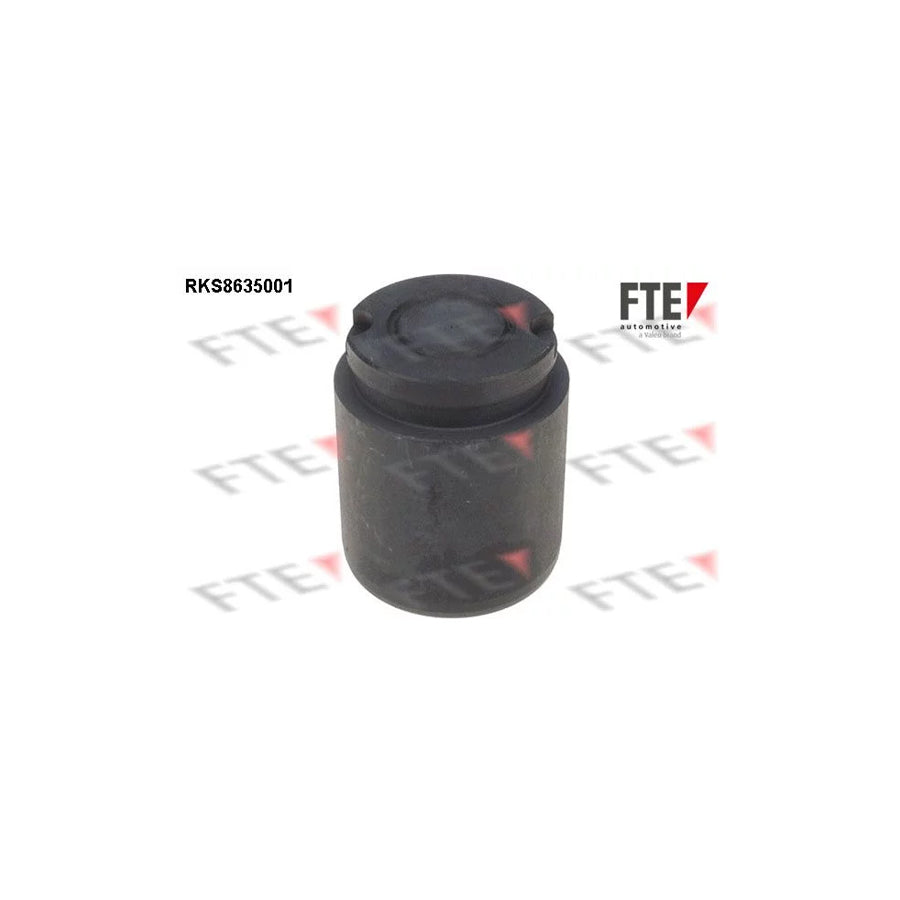 Fte 9313309 Piston, Brake Caliper | ML Performance UK Car Parts