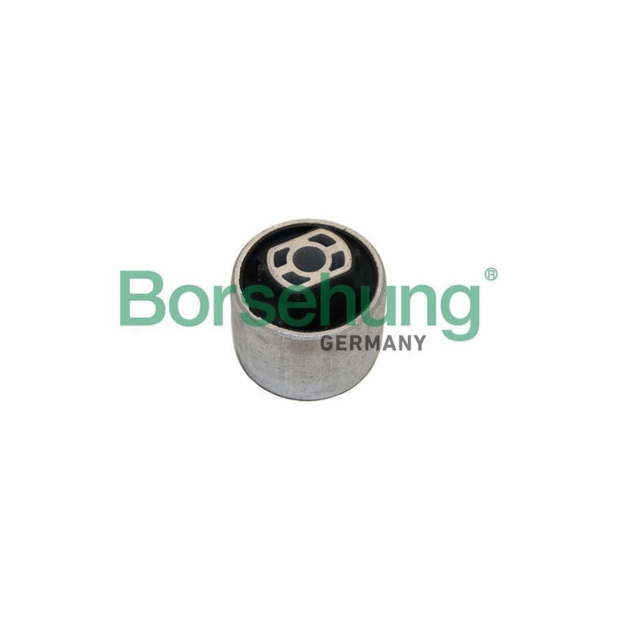 Borsehung B19064 Axle Bush