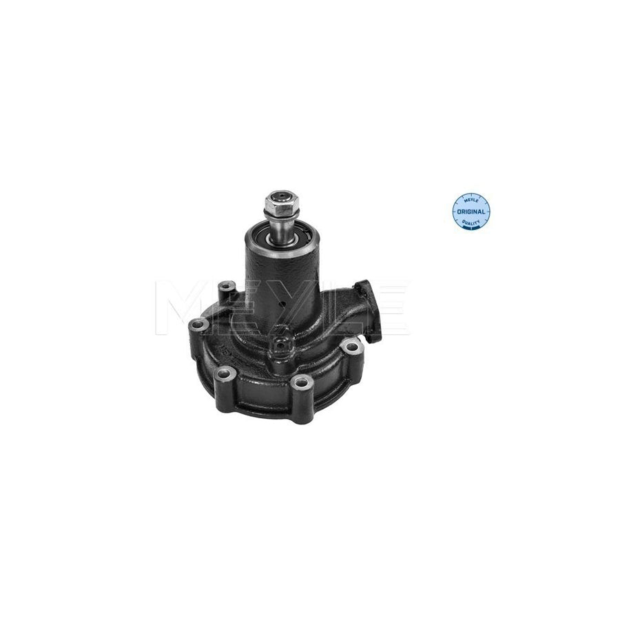 Meyle 833 131 4406 Water Pump