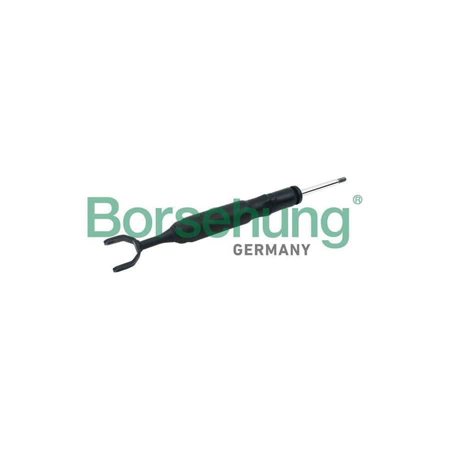 Borsehung B12142 Shock Absorber For Audi A6