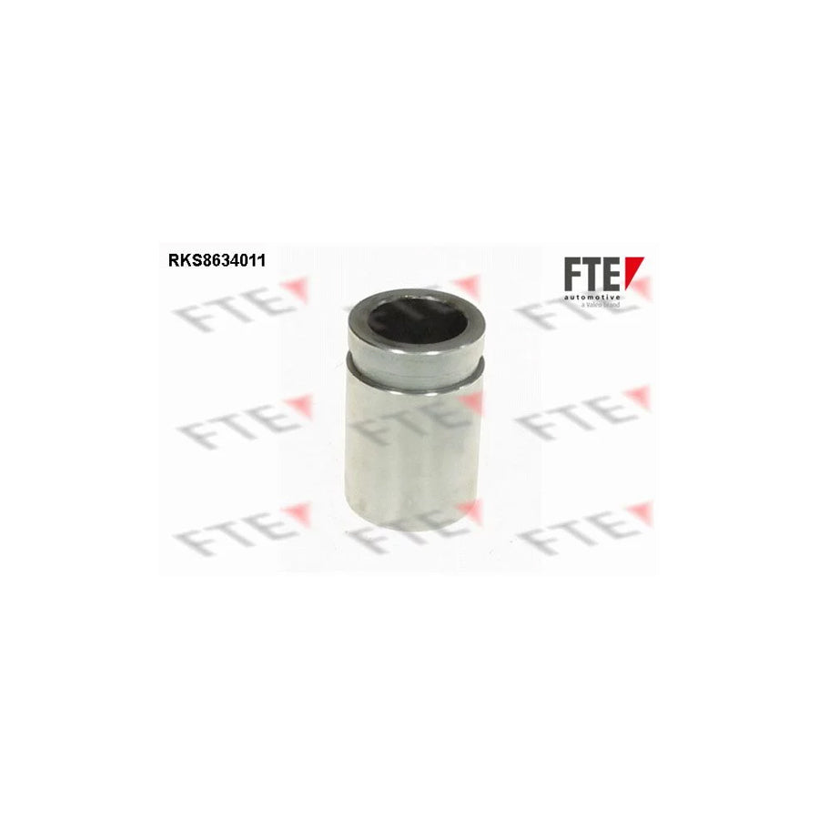 Fte 9313307 Piston, Brake Caliper | ML Performance UK Car Parts