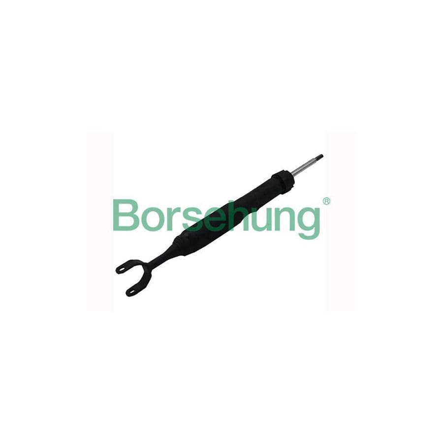 Borsehung B12140 Shock Absorber