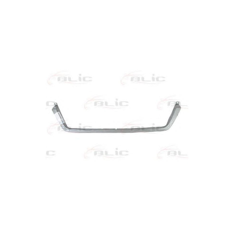 Blic 6502-07-3546210P Trim / Protective Strip, Radiator Grille Suitable For Mercedes-Benz Sprinter