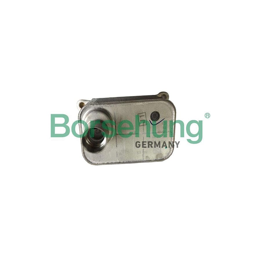 Borsehung B19085 Engine Oil Cooler