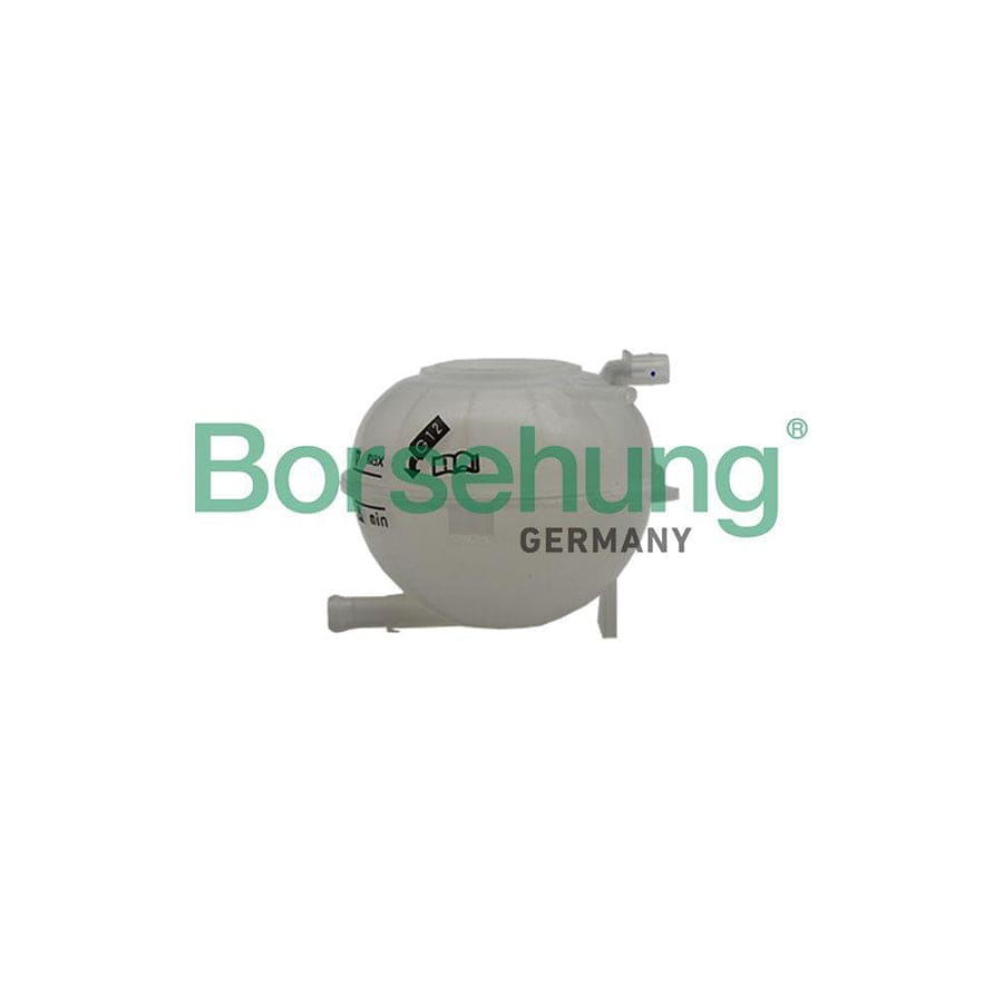 Borsehung B19084 Coolant Expansion Tank