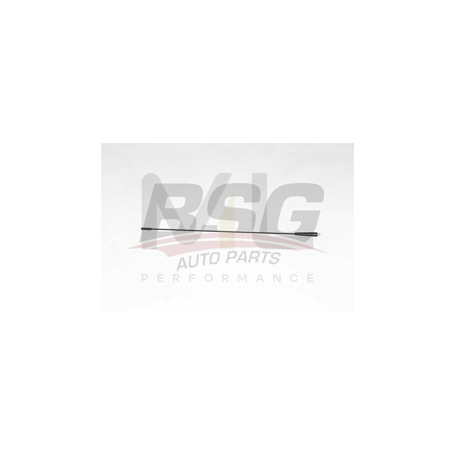 BSG BSG 70-922-038 Aerial for PEUGEOT BOXER | ML Performance Car Parts