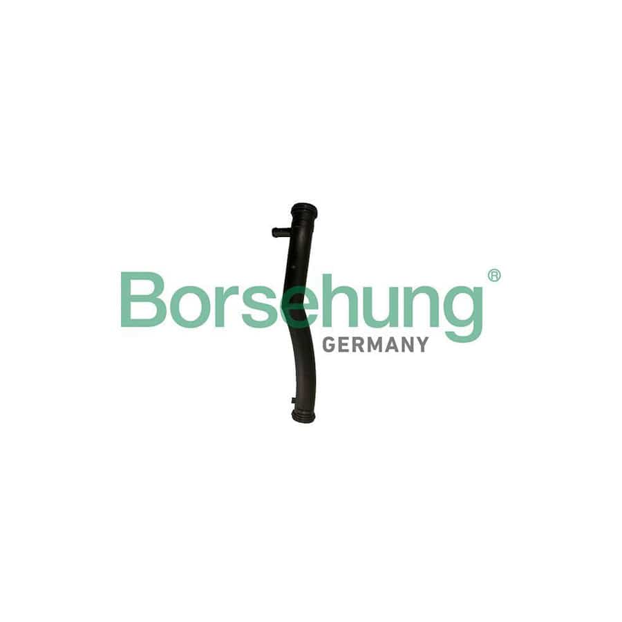 Borsehung B19082 Hose, Heat Exchange Heating