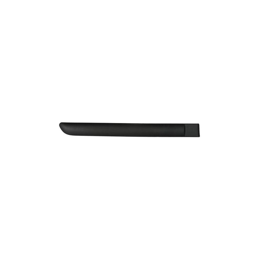 Blic 5703-04-0519574P Door Molding For Citroen C3 I Hatchback (Fc, Fn)