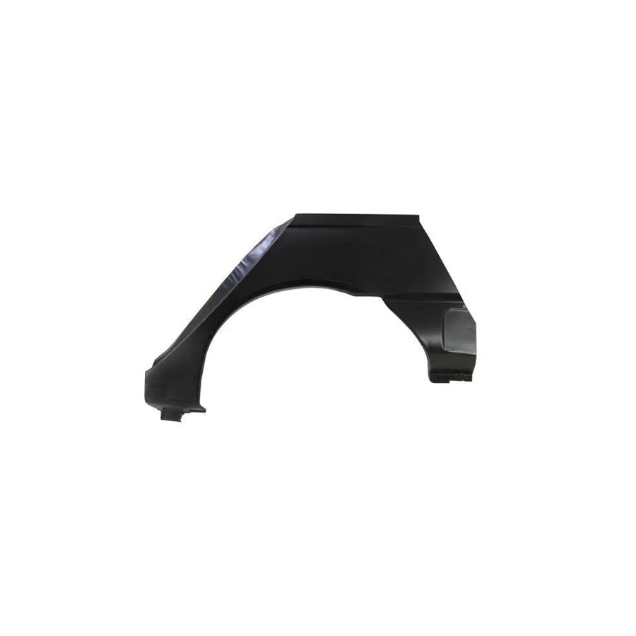 Blic 6504-03-6037581P Sidewall For Renault Megane