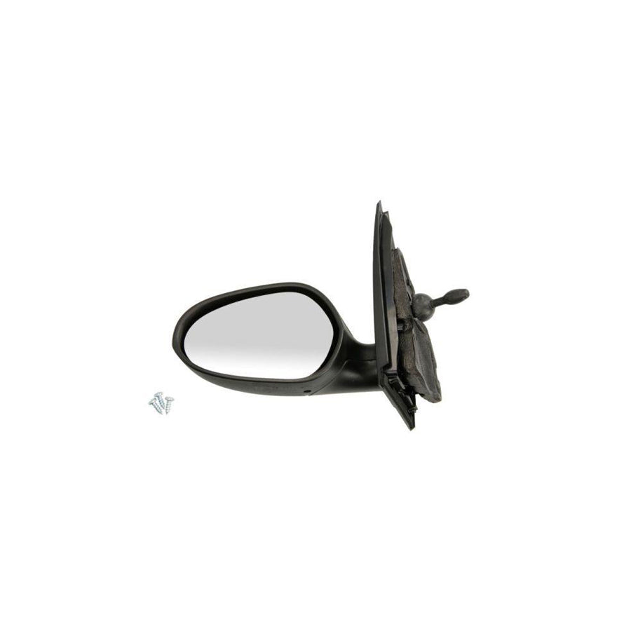 Blic 5402-04-1112523P Wing Mirror For Lancia Ypsilon II (843)