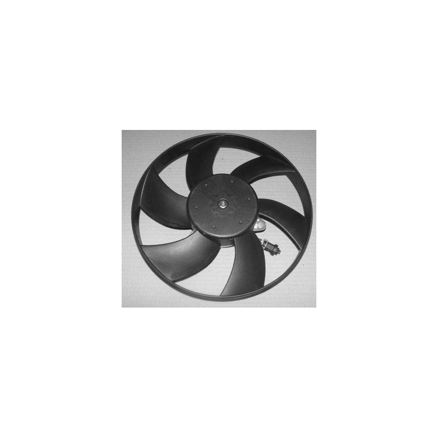 Bugiad BSP20502 Fan, Radiator