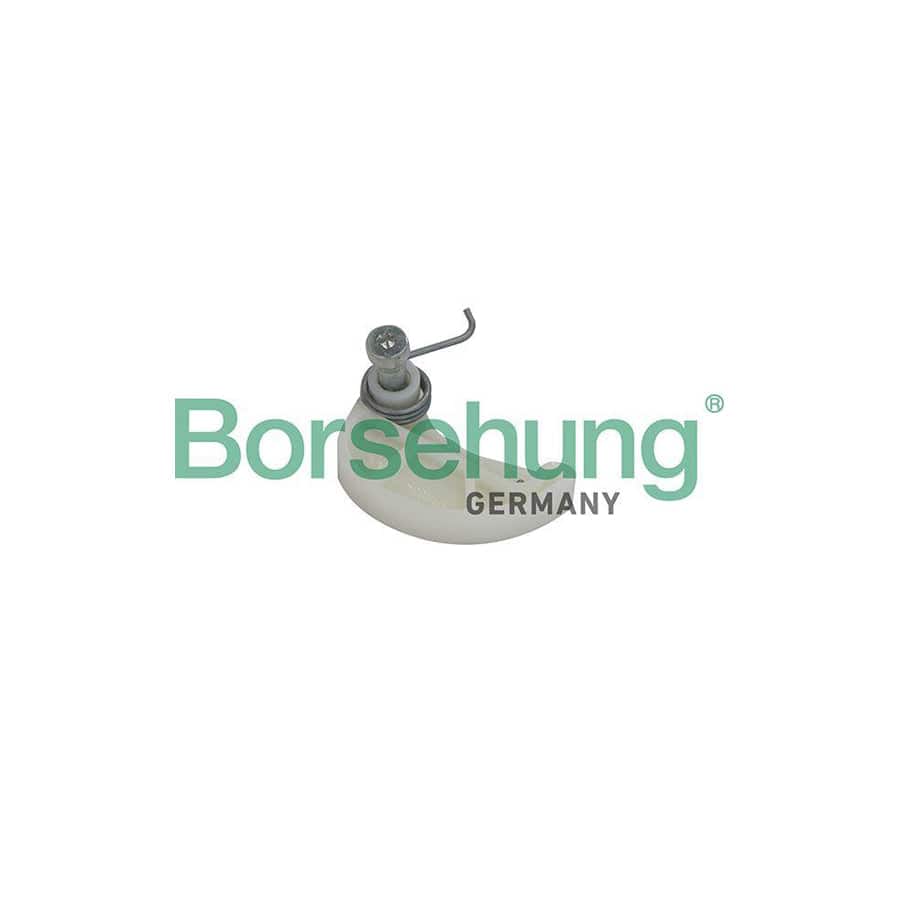 Borsehung B12187 Timing Chain Tensioner