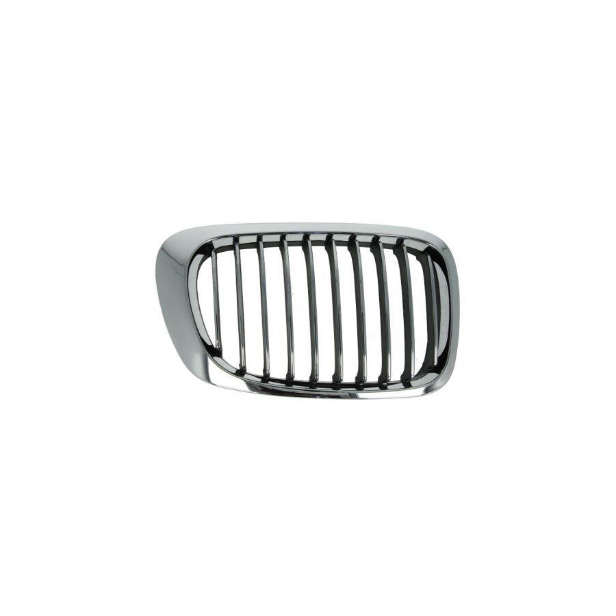 Blic 6502-07-0061993Pp Radiator Grille For BMW 3 Series