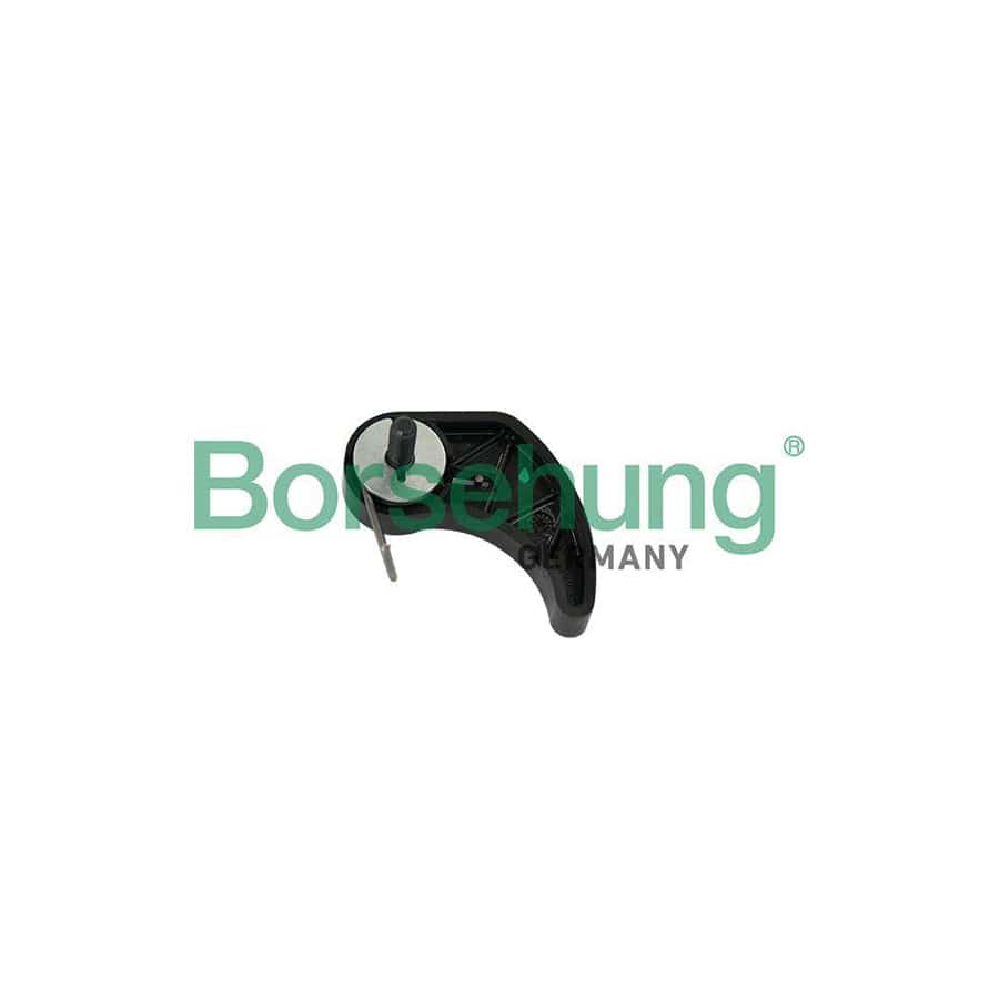 Borsehung B12185 Chain Tensioner, Oil Pump Drive