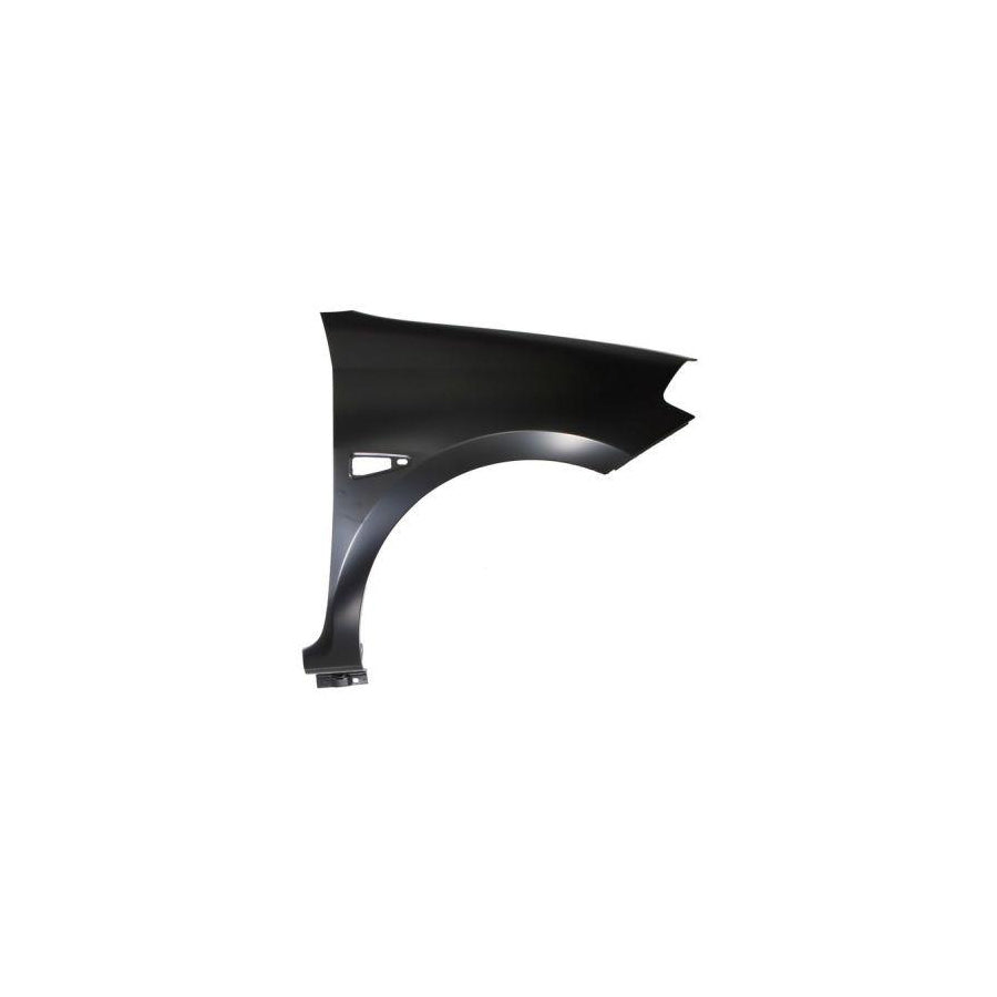 Blic 6504-04-6030312P Wing Fender For Renault Symbol / Thalia Ii