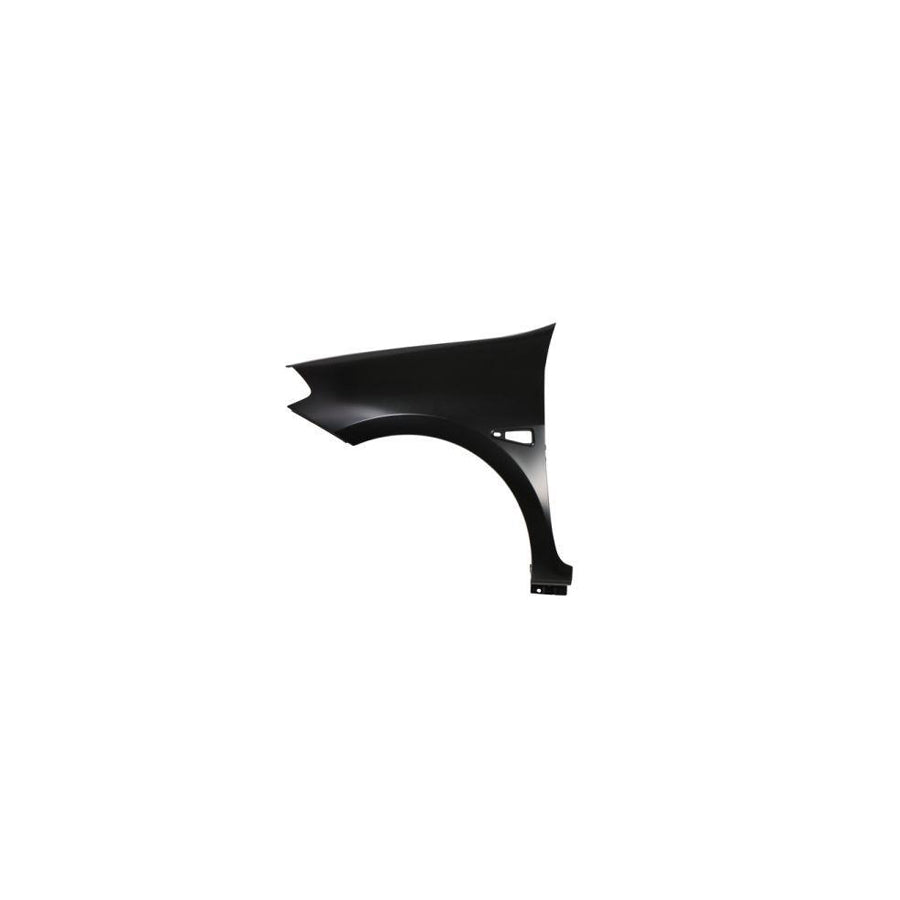 Blic 6504-04-6030311P Wing Fender For Renault Symbol / Thalia Ii