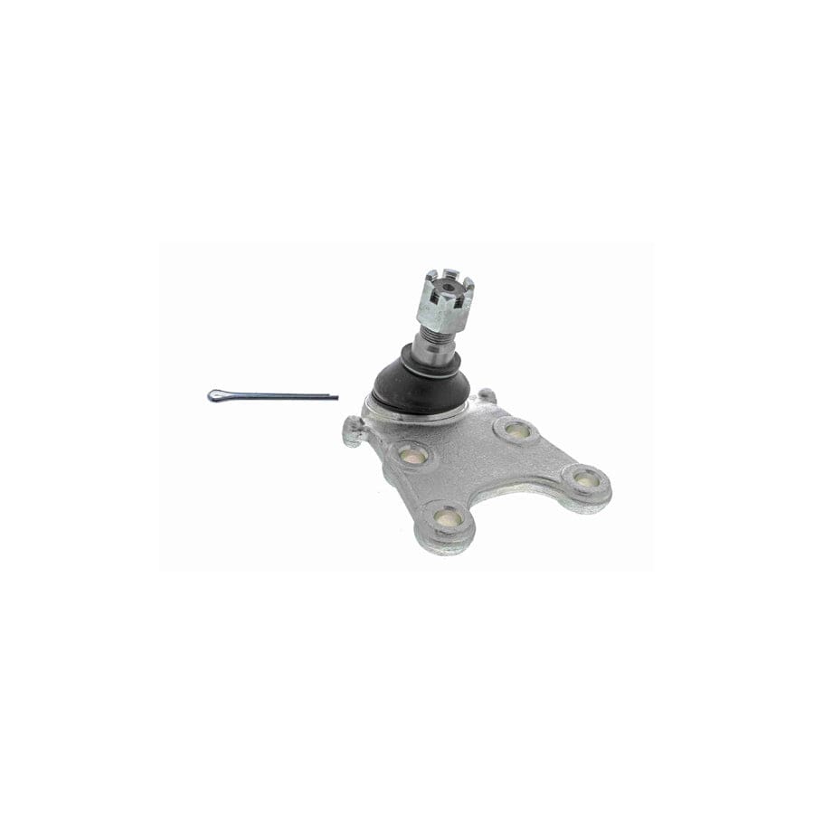 Ackoja A56-1107 Ball Joint | ML Performance UK