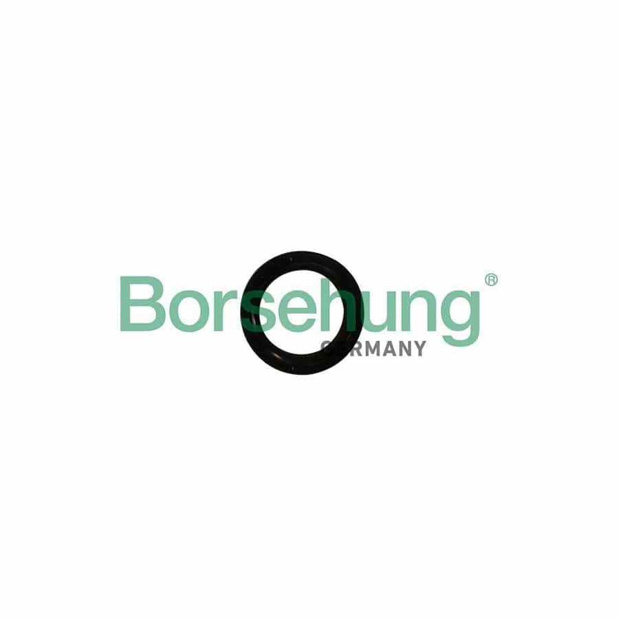 Borsehung B12179 Crankshaft Seal