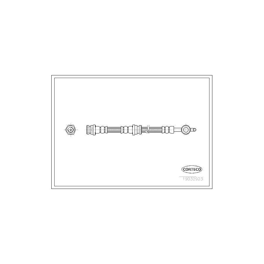 Corteco 19032923 Brake Hose | ML Performance UK