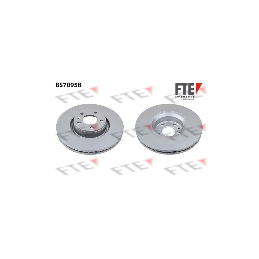 Fte BS7095B Brake Disc | ML Performance UK Car Parts