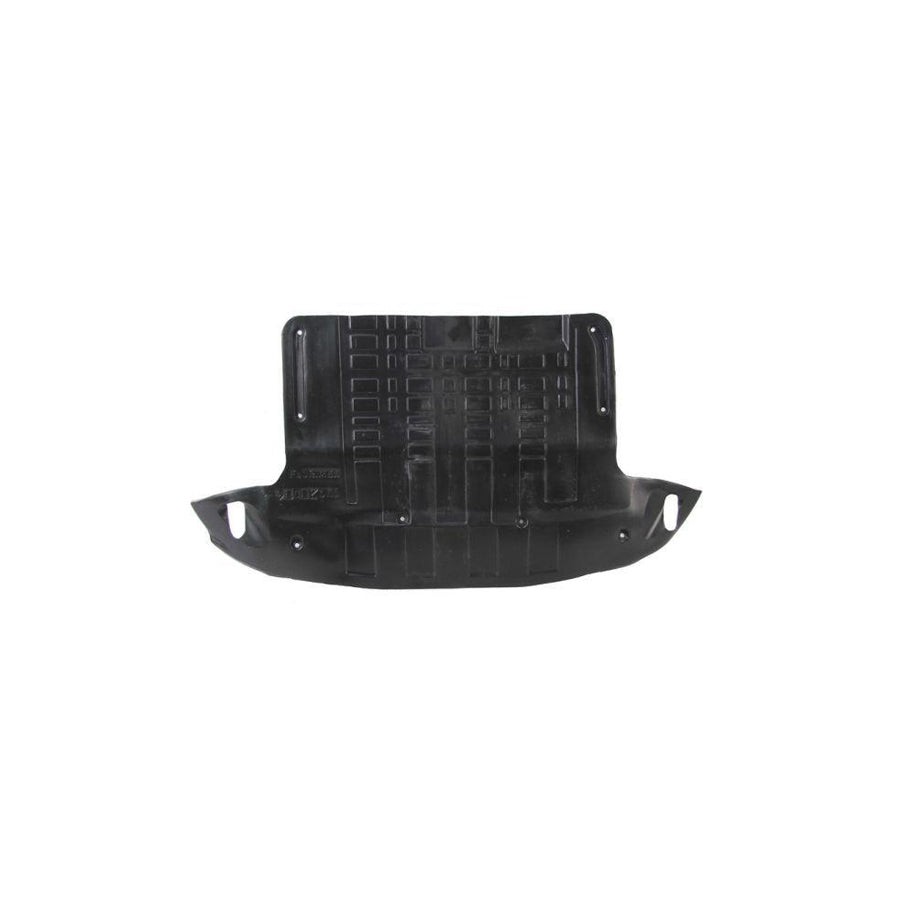 Blic 6601-02-3175861P Engine Cover