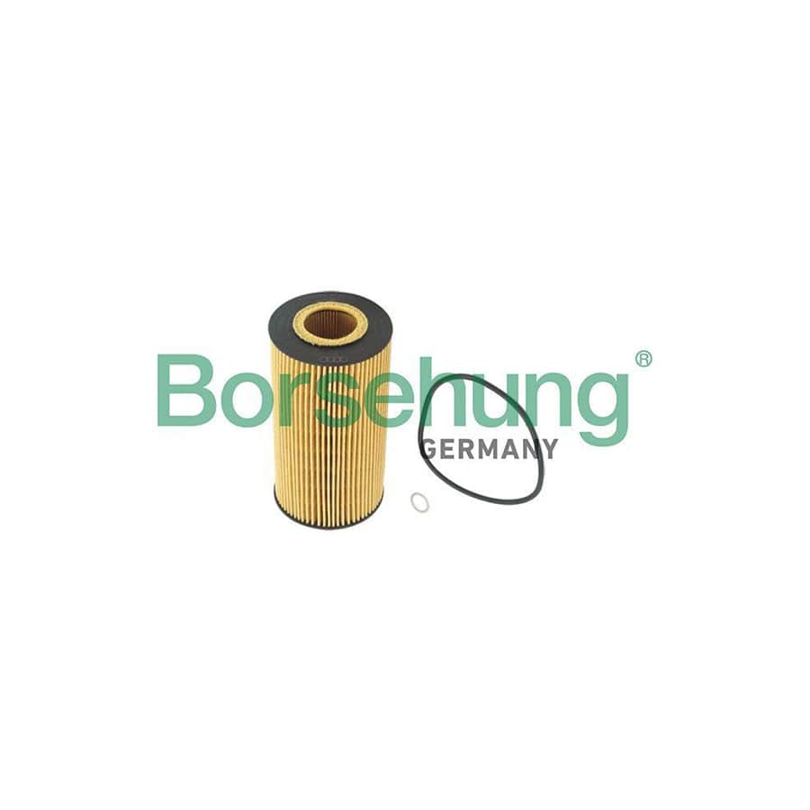 Borsehung B12220 Oil Filter