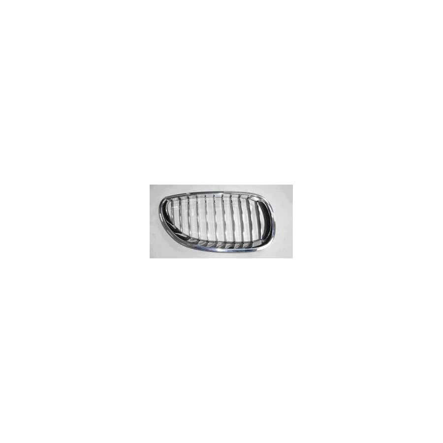 Abakus 00416406 Radiator Grille For Bmw 5 Saloon (E60) | ML Performance UK