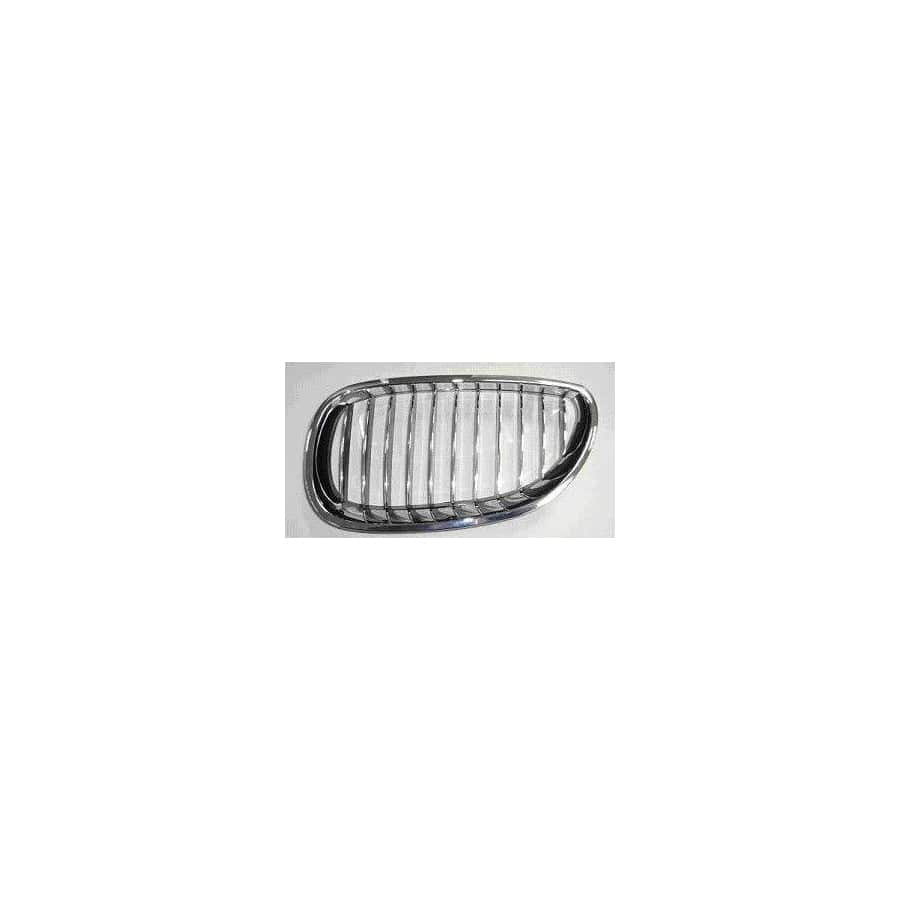 Abakus 00416405 Radiator Grille For Bmw 5 Saloon (E60) | ML Performance UK