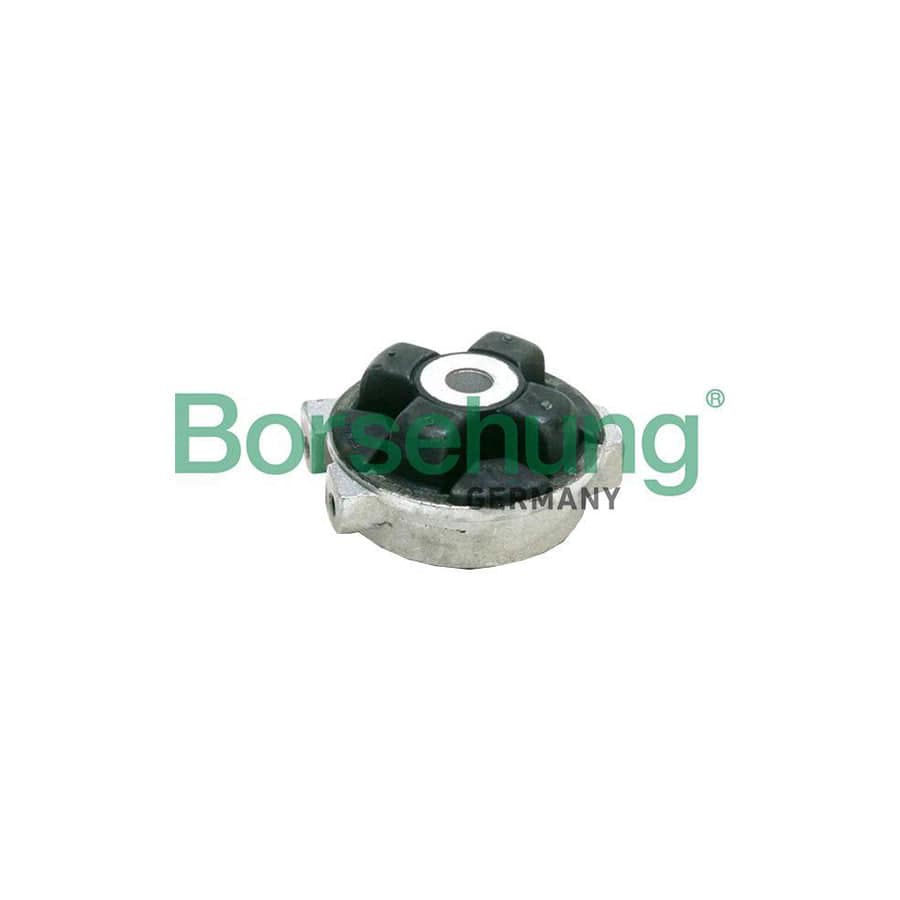 Borsehung B19103 Engine Mount