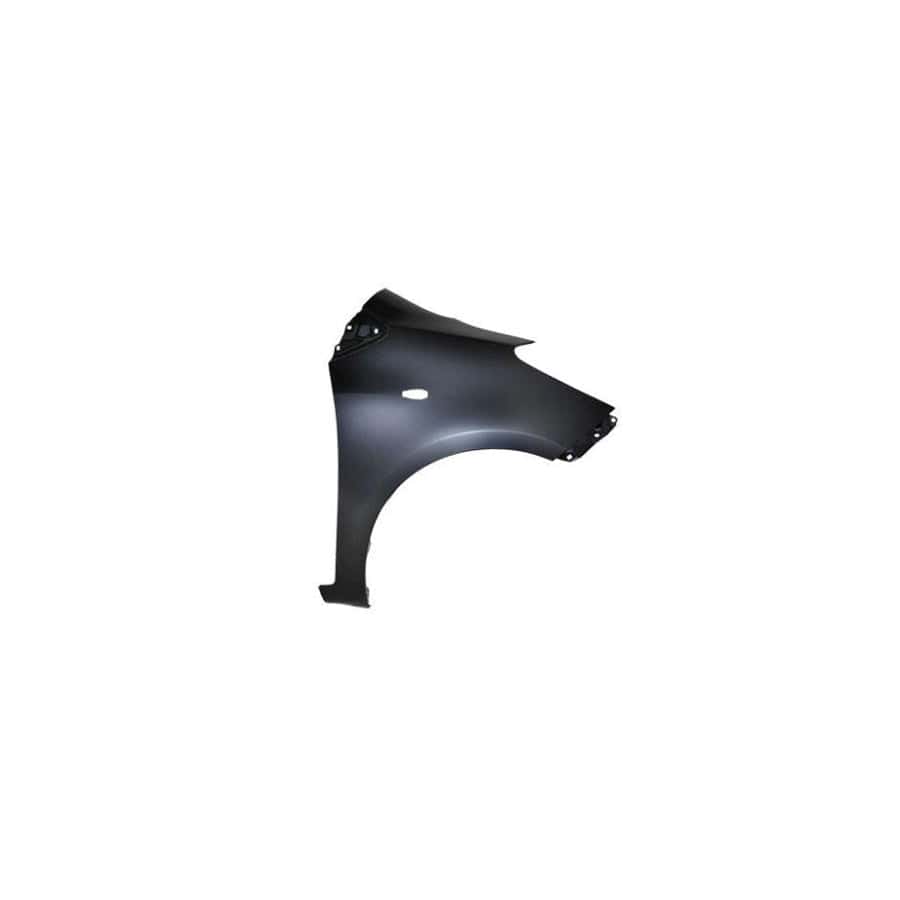 Abakus 05132212 Wing Fender For Toyota Yaris Ii Hatchback (Xp9) | ML Performance UK