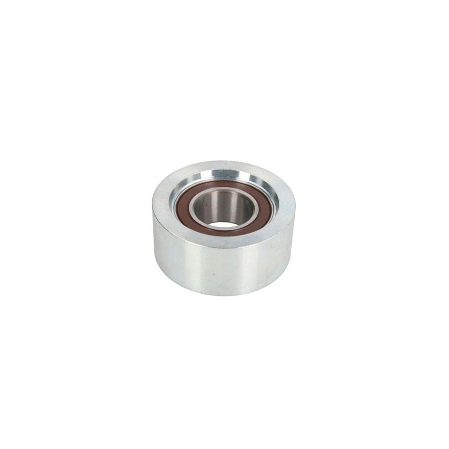 Bta B05-02-118 Tensioner Pulley