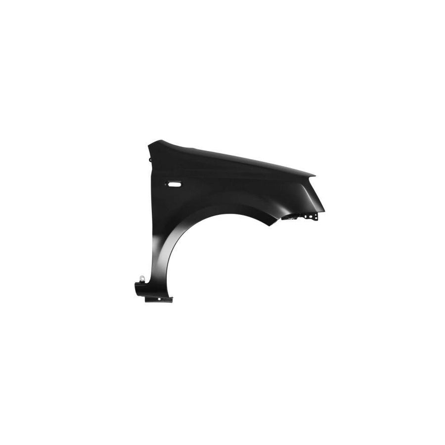 Blic 6504-04-2008312P Wing Fender For Fiat Panda II Hatchback (169)