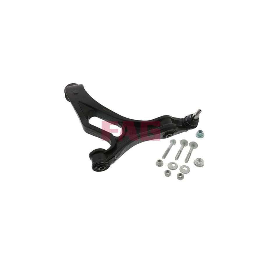 FAG 821 0670 10 Suspension Arm