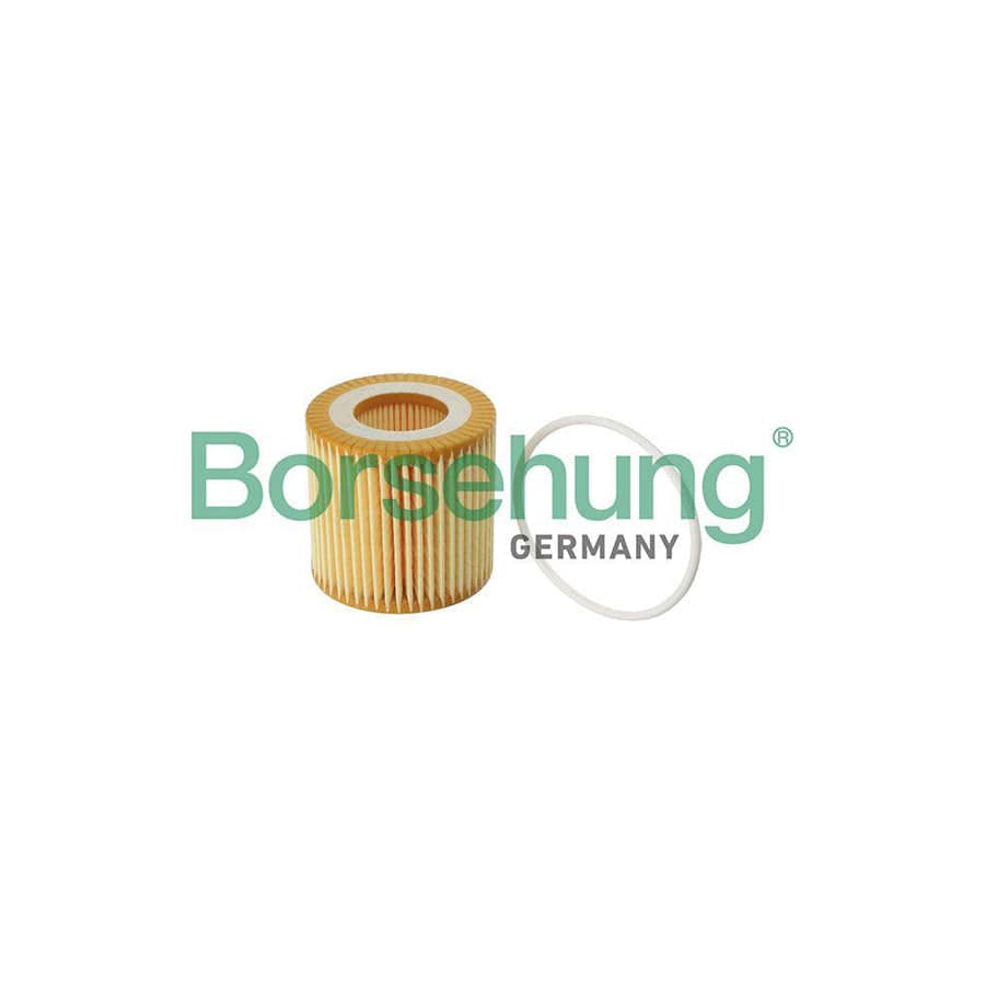 Borsehung B12219 Oil Filter