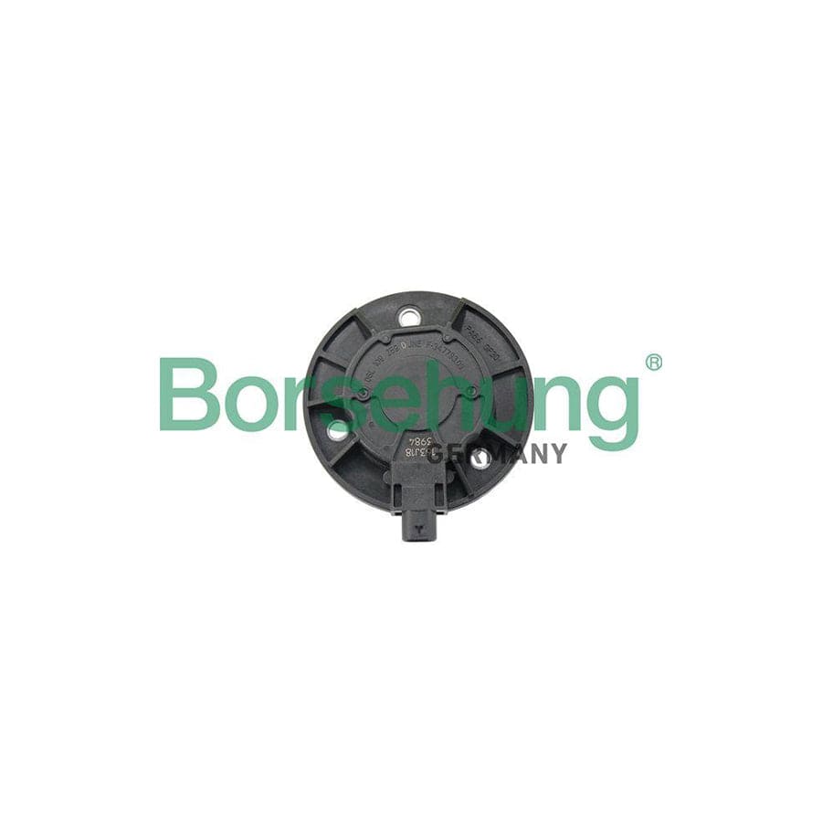 Borsehung B19124 Central Magnet, Camshaft Adjustment