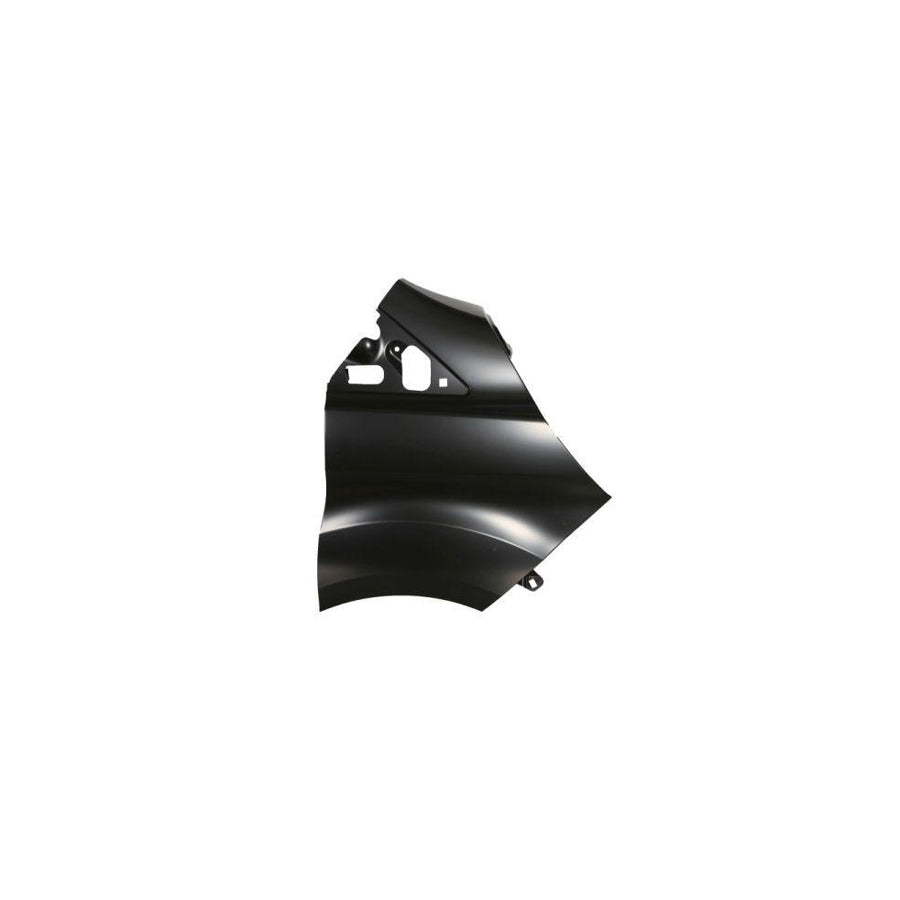 Blic 6504-04-2513312P Wing Fender