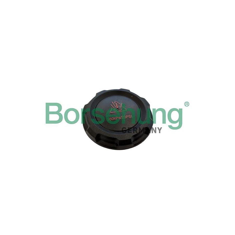 Borsehung B12203 Expansion Tank Cap