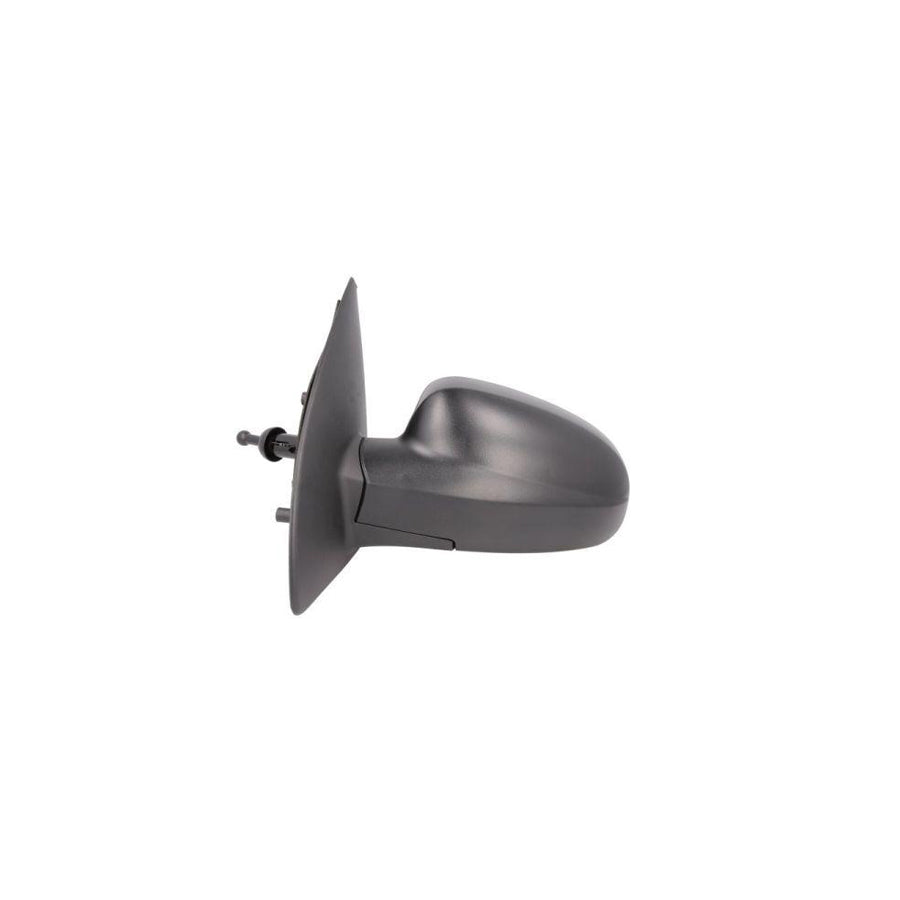 Blic 5402-56-005363P Wing Mirror