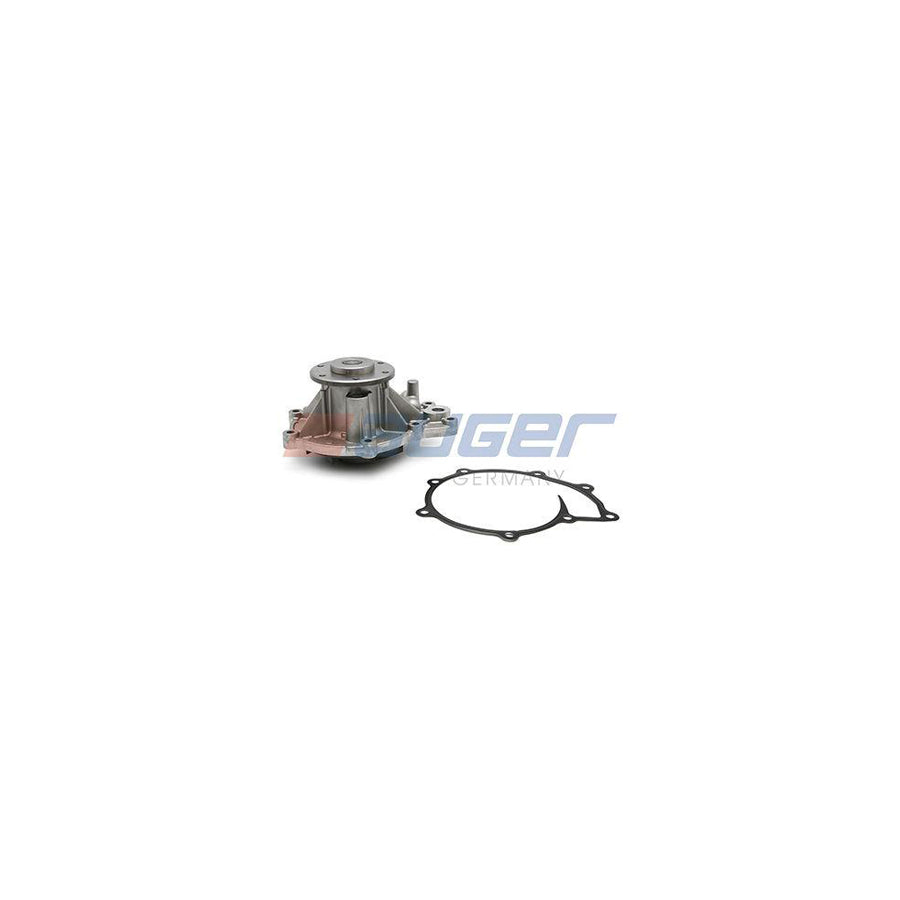 Auger 91199 Water Pump