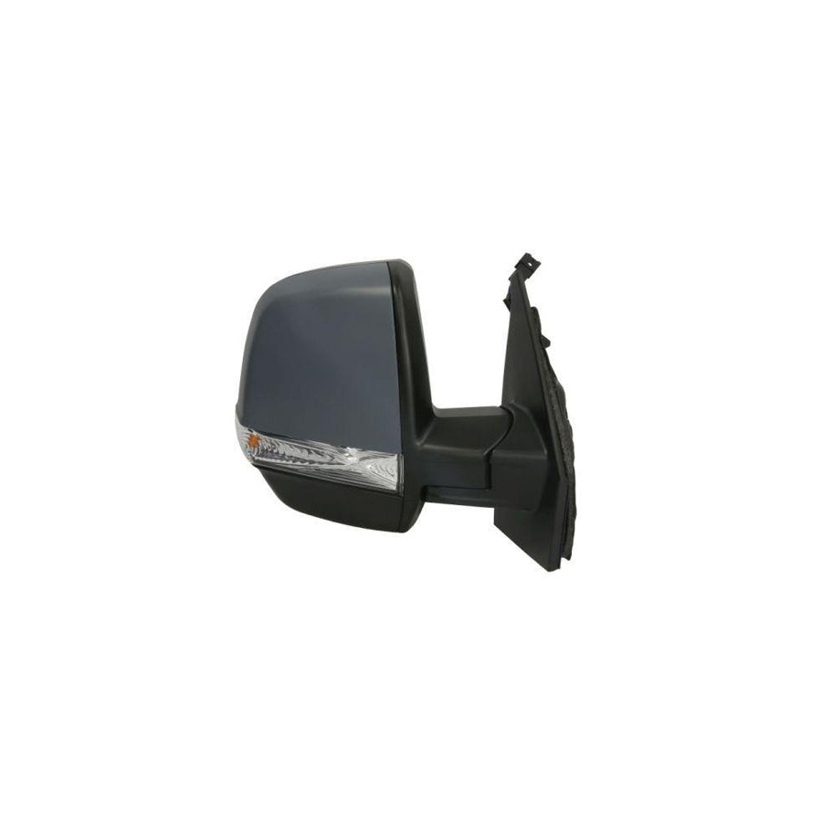 Blic 5402-07-2002822P Wing Mirror