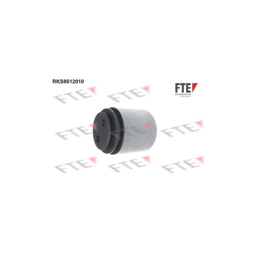 Fte RKS8612010 Piston, Brake Caliper | ML Performance UK Car Parts