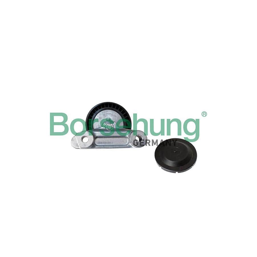 Borsehung B12202 Tensioner Pulley