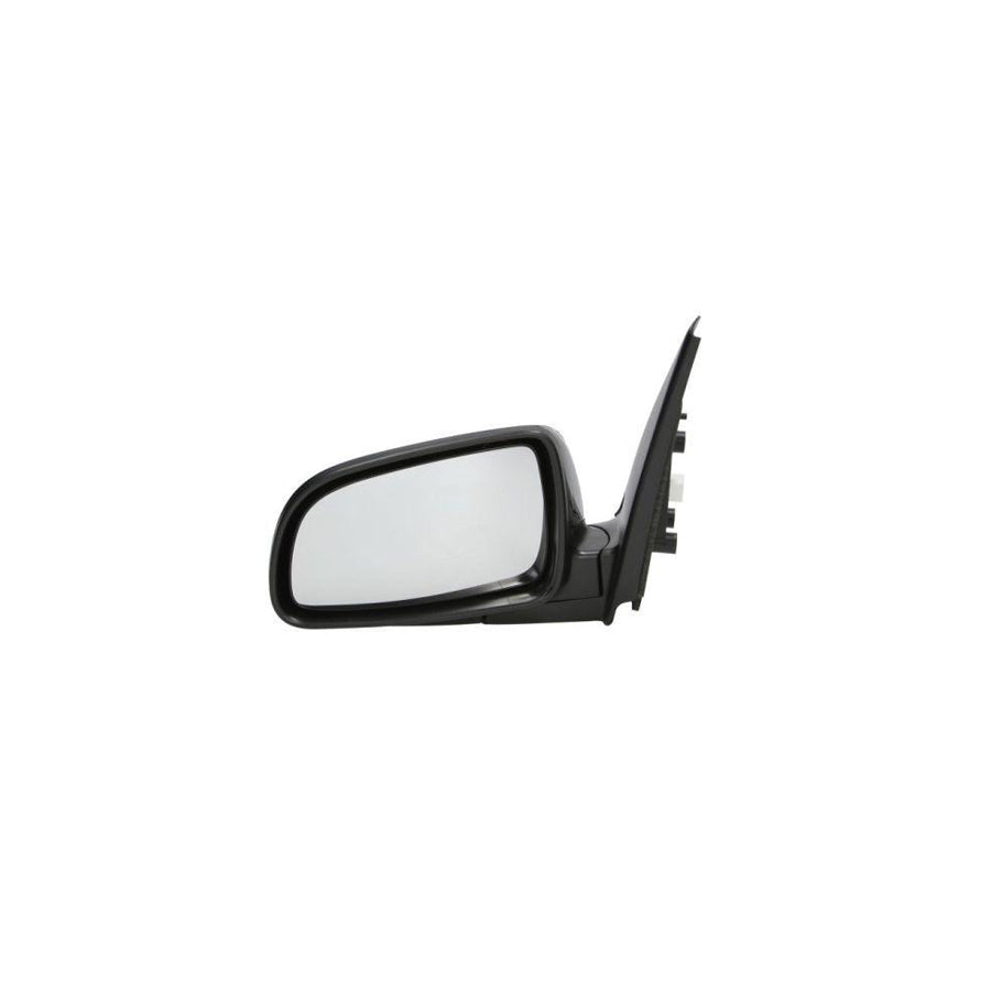 Blic 5402-56-005361P Wing Mirror