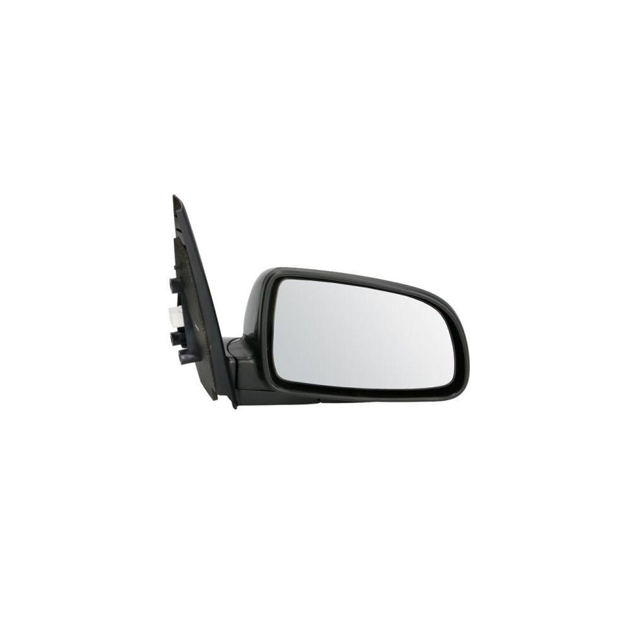 Blic 5402-56-005360P Wing Mirror