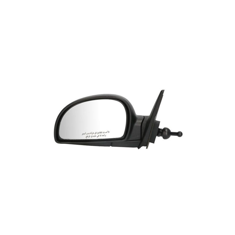 Blic 5402-04-1112575P Wing Mirror