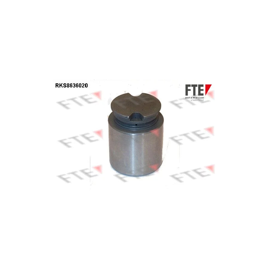 Fte 9313335 Piston, Brake Caliper | ML Performance UK Car Parts